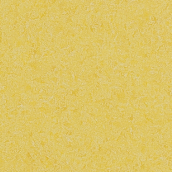 ǰ 