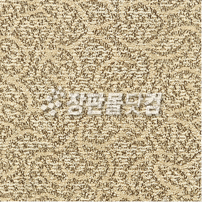 ǰ 